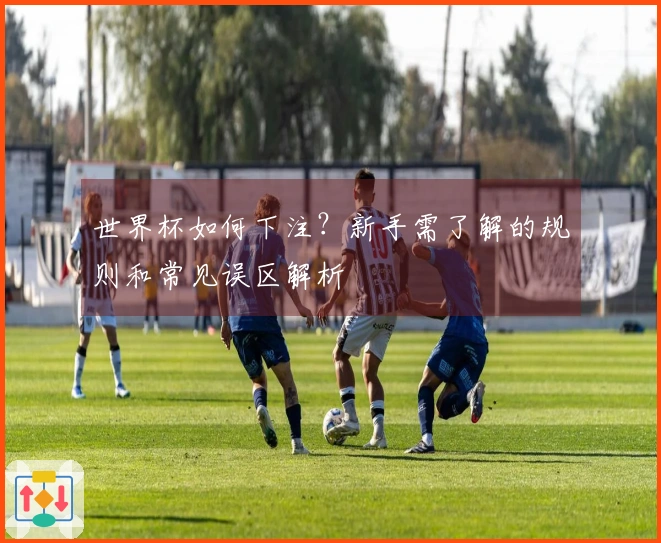 世界杯如何下注？新手需了解的规则和常见误区解析