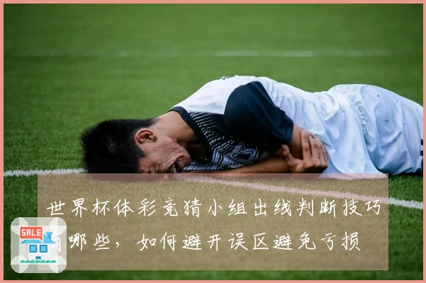 世界杯体彩竞猜小组出线判断技巧有哪些，如何避开误区避免亏损