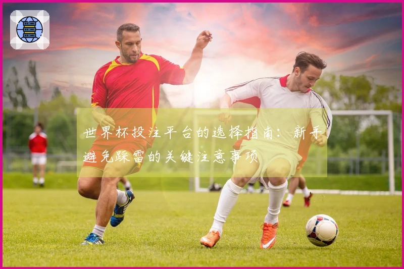 世界杯投注平台的选择指南：新手避免踩雷的关键注意事项