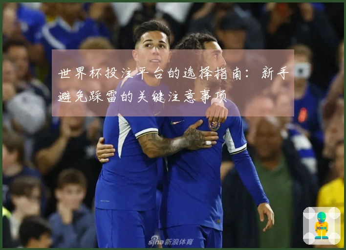 世界杯投注平台的选择指南：新手避免踩雷的关键注意事项